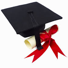 Top 100 world universities by reputation
